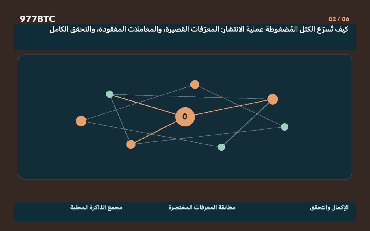 كيف تُسرّع الكتل المُضغوطة عملية الانتشار: المعرّفات القصيرة، والمعاملات المفقودة، والتحقق الكامل