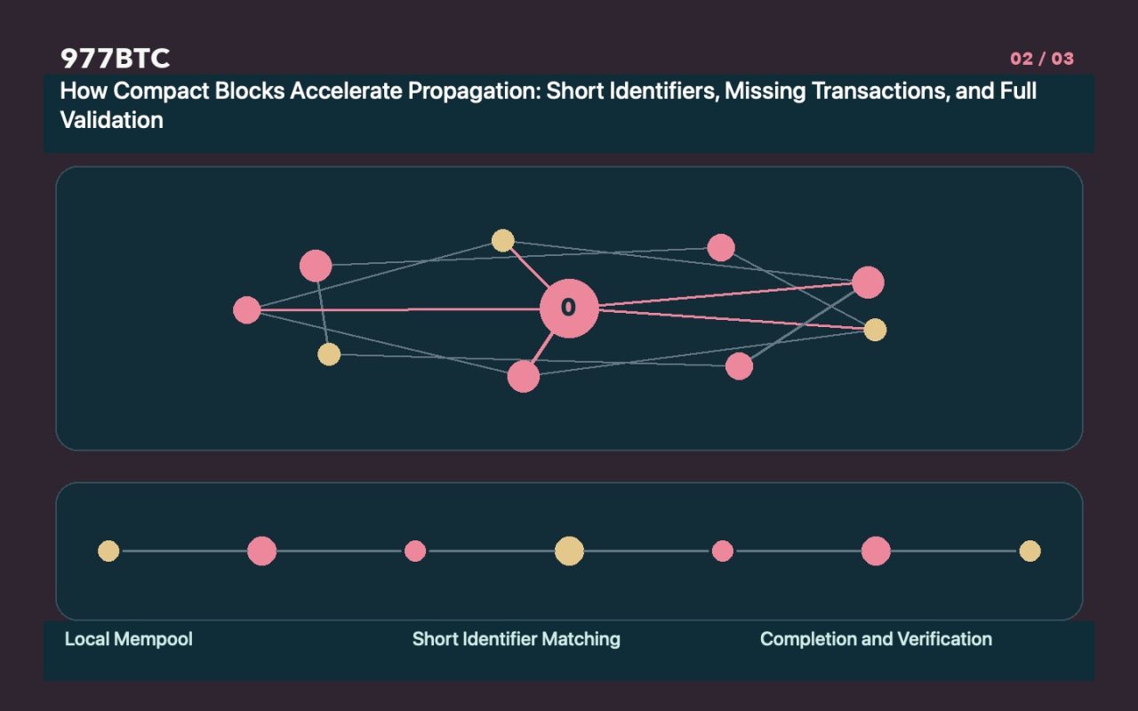 How Compact Blocks Accelerate Propagation: Short Identifiers, Missing Transactions, and Full Validation