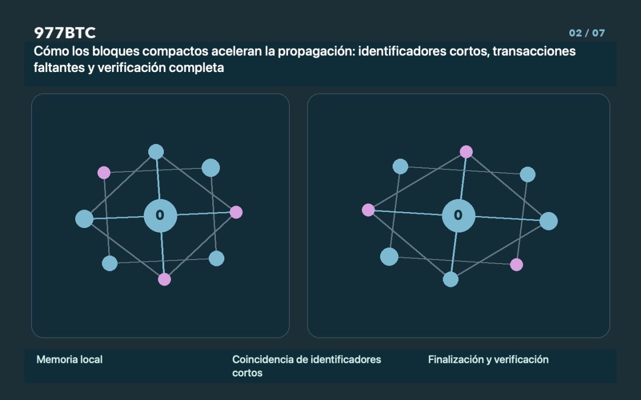 Cómo los bloques compactos aceleran la propagación: identificadores cortos, transacciones faltantes y verificación completa