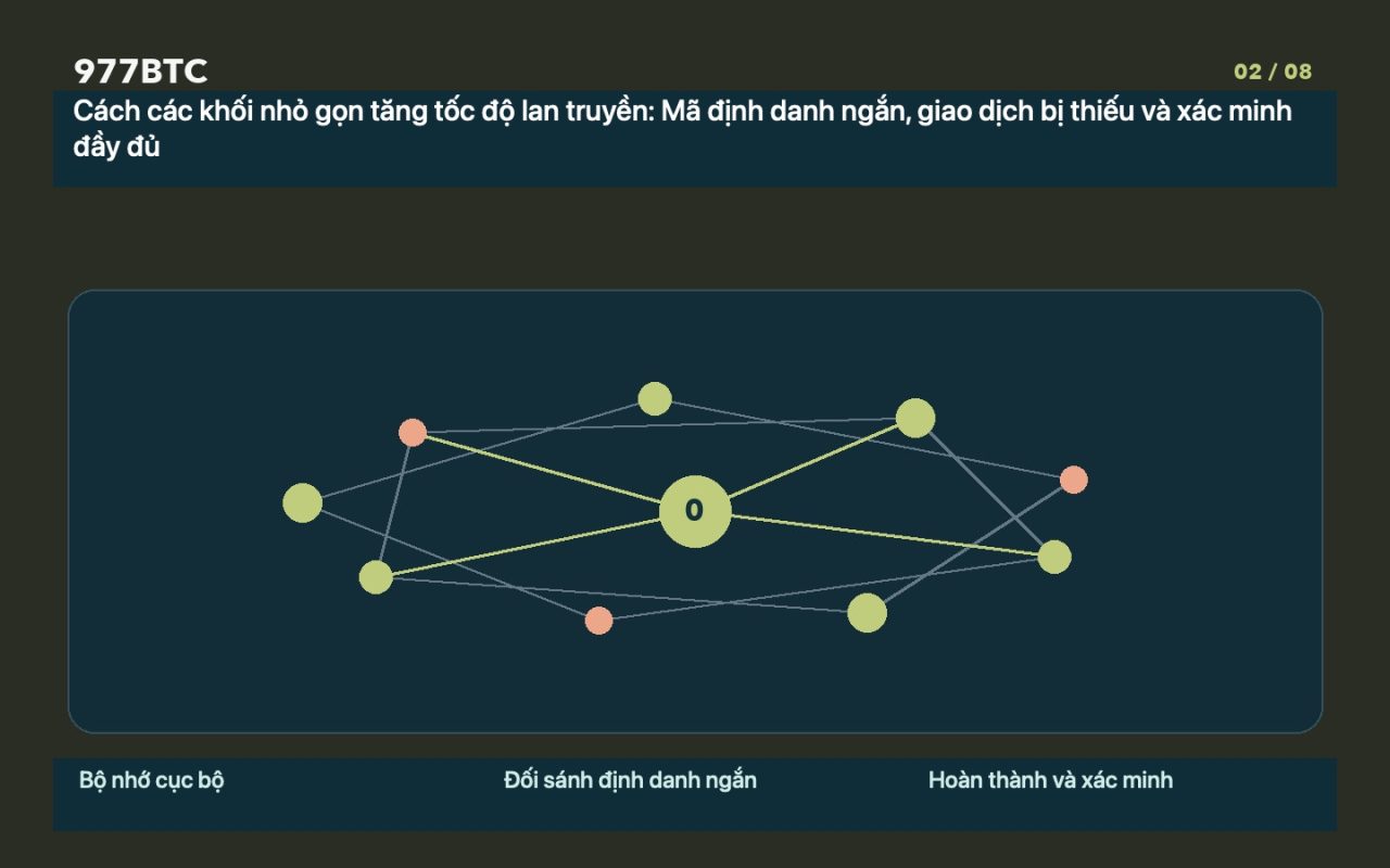 Cách các khối nhỏ gọn tăng tốc độ lan truyền: Mã định danh ngắn, giao dịch bị thiếu và xác minh đầy đủ