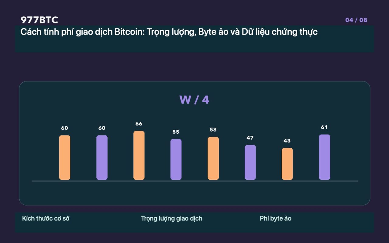 Cách tính phí giao dịch Bitcoin: Trọng lượng, Byte ảo và Dữ liệu chứng thực