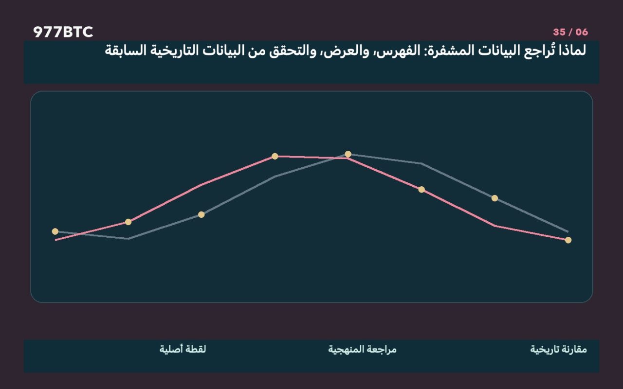 لماذا تُراجع البيانات المشفرة: الفهرس، والعرض، والتحقق من البيانات التاريخية السابقة