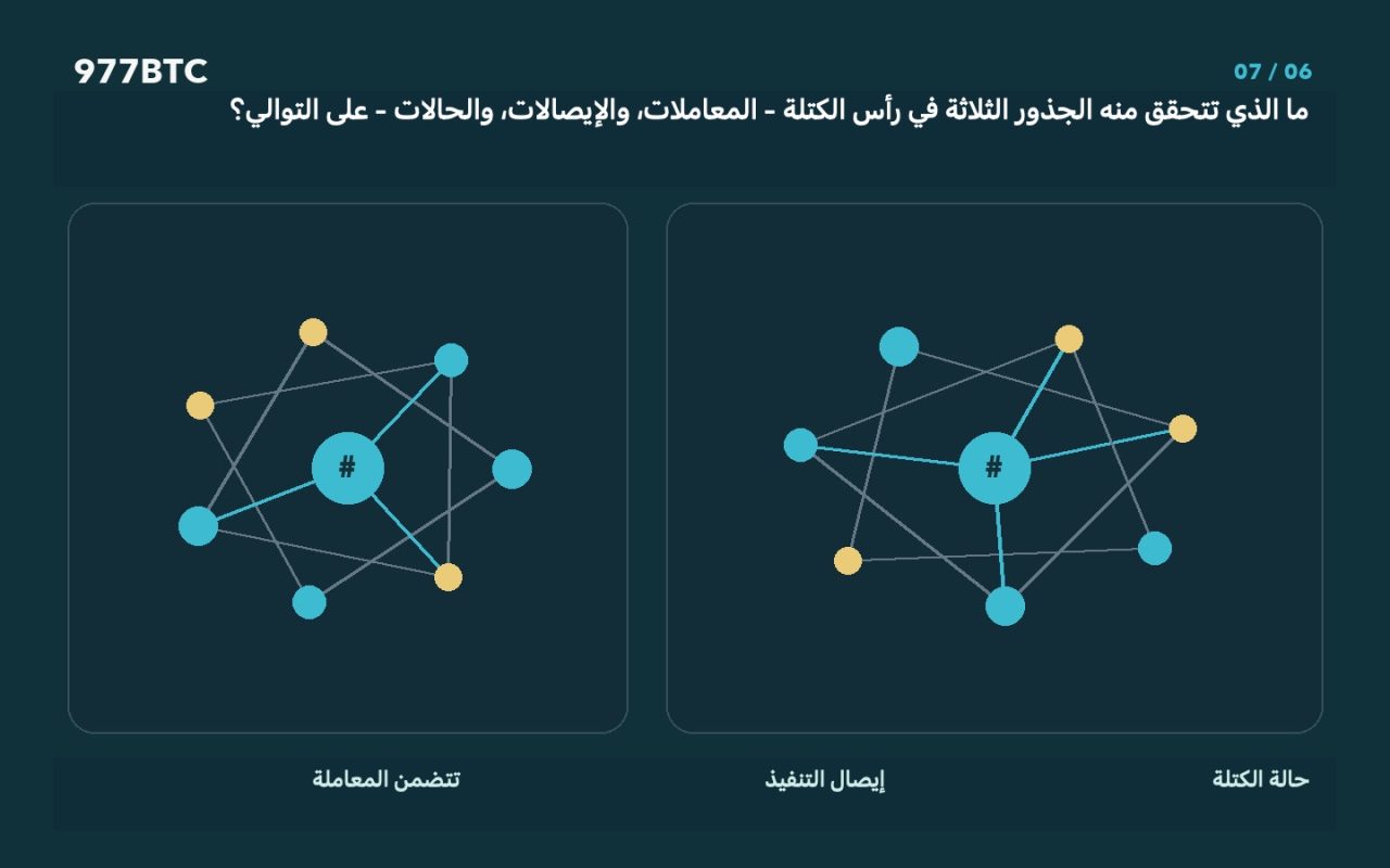 ما الذي تتحقق منه الجذور الثلاثة في رأس الكتلة - المعاملات، والإيصالات، والحالات - على التوالي؟