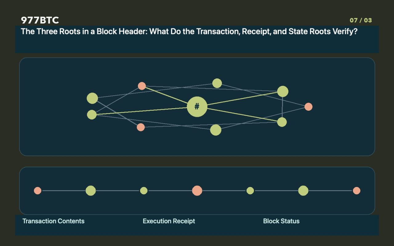 The Three Roots in a Block Header: What Do the Transaction, Receipt, and State Roots Verify?