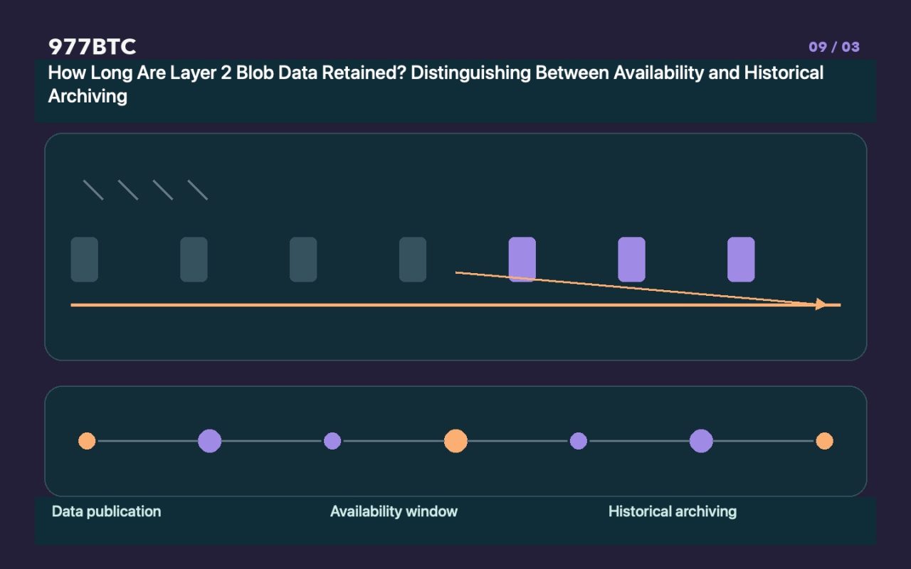 How Long Are Layer 2 Blob Data Retained? Distinguishing Between Availability and Historical Archiving